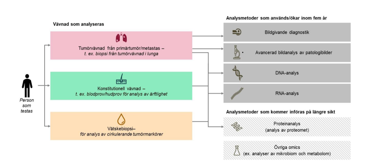 Olika typer av vävnadsprover för analys och de analysmetoder som kommer att bli vanligare de närmaste fem åren. Ur rapporten Framtidens precisionsdiagnostik