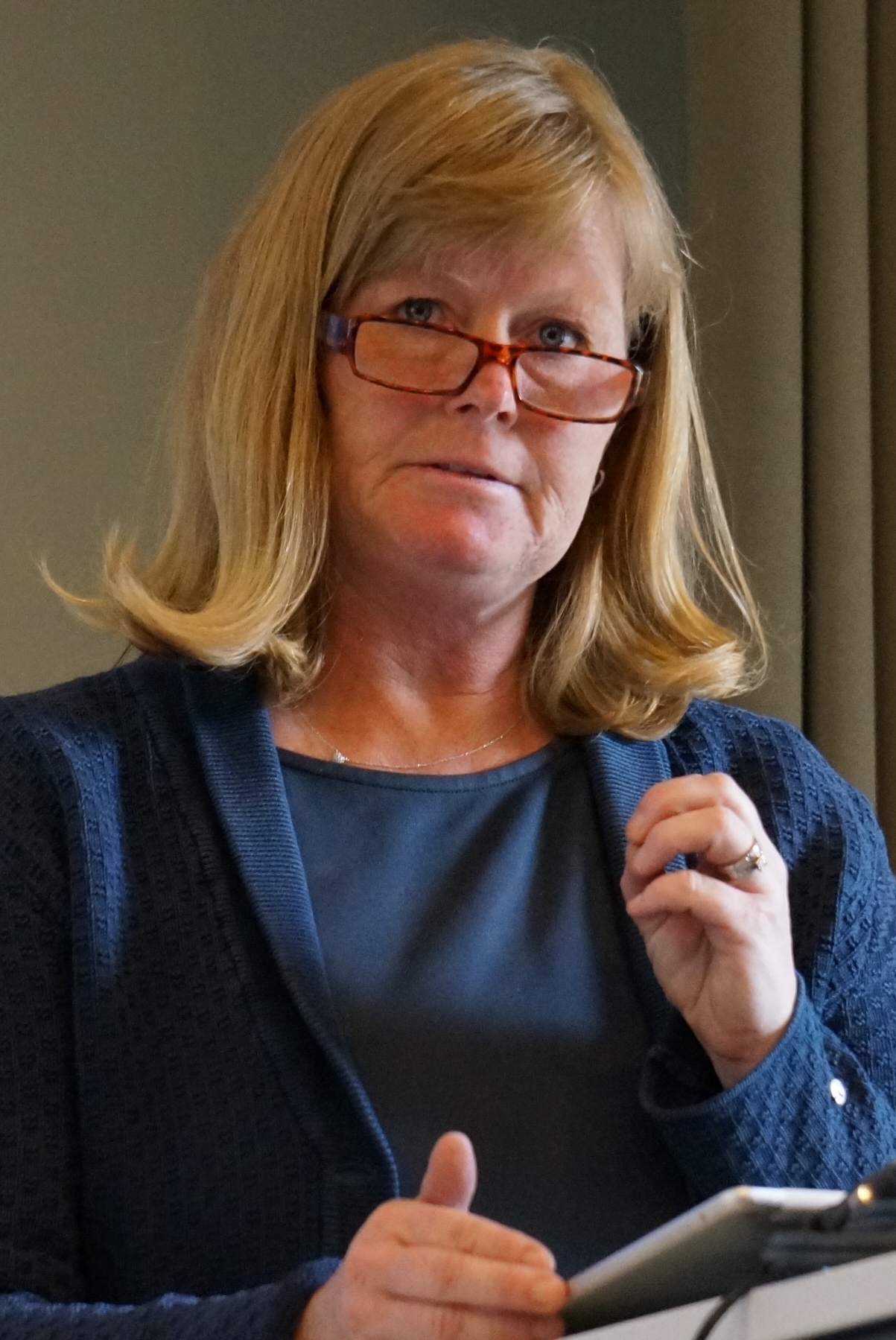 Charlotte Brogren, generaldirektör Vinnova.