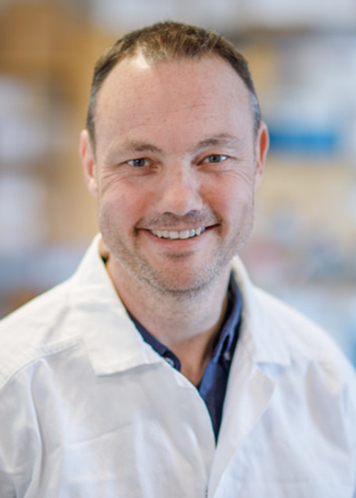 Niklas Arnberg